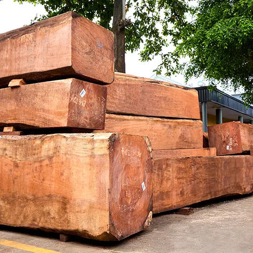 quy-trinh-lua-chon-go